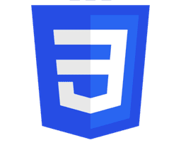 CSS